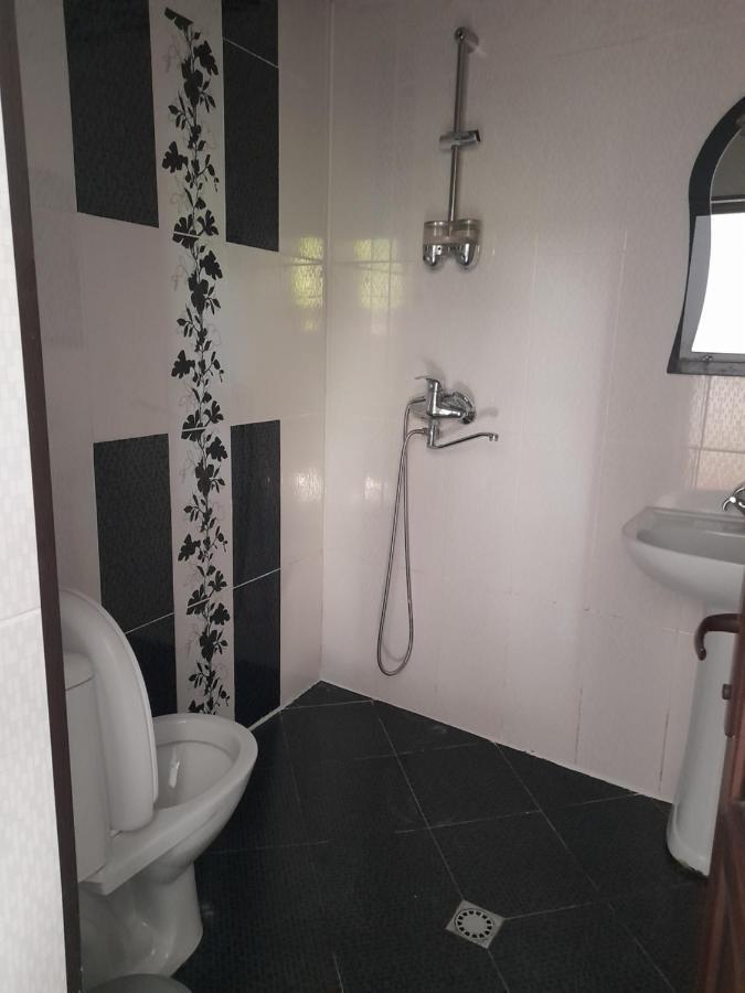 Guesthouse 보르조미 외부 사진